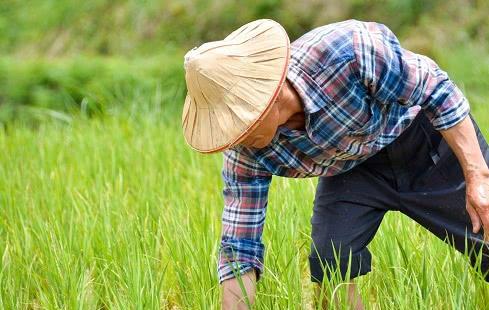 農村俗語 窮在鬧市無人問, 富在山間有遠親 , 事實真是這樣嗎